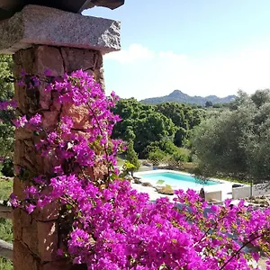 Desole Vakantieboerderij Monti
